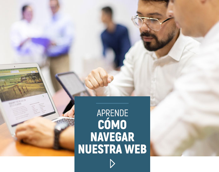 Aprende cómo navegar nuestra página web