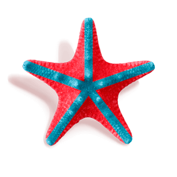 Nuestro Norte: En Decameron nos apasiona la calidad y el buen servicio,  y es por eso que dedicamos todo nuestro esfuerzo para cumplir con nuestro “True North” cuya misión se basa en los siguientes principios