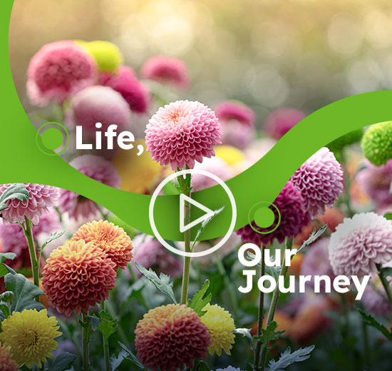 Life, Our Journey