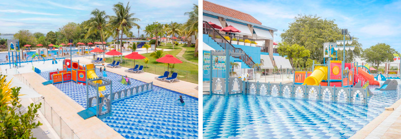 Vive la pasión del fútbol