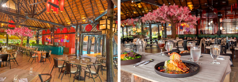 Vive la pasión del fútbol