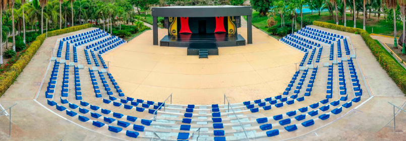 Vive la pasión del fútbol